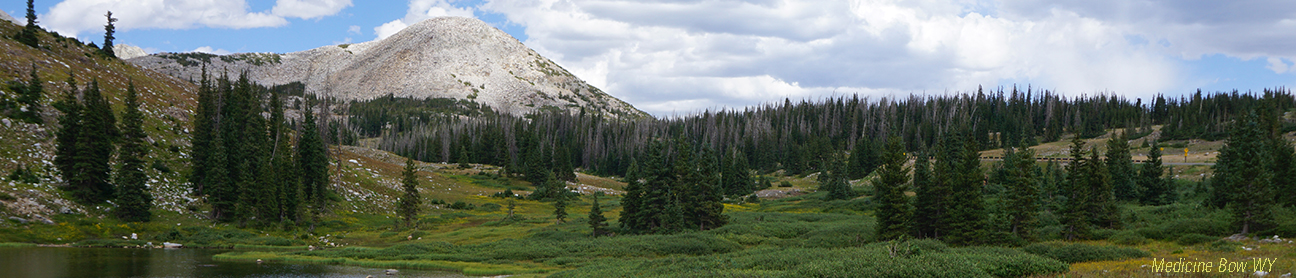 Allphase Pharma Consulting, LLC