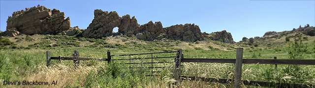 Allphase Pharma Consulting, LLC