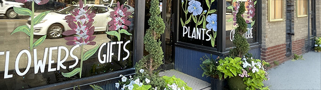 Allphase Pharma Consulting, LLC