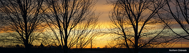 Allphase Pharma Consulting, LLC